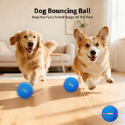 Dog Toys Rechargeable Smart Balls Bouncing Ball Dog Toys Automatic Elastic
