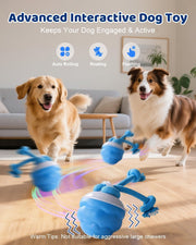 Dog Toys Rechargeable Smart Ball Relief And Entertainment For Cats And