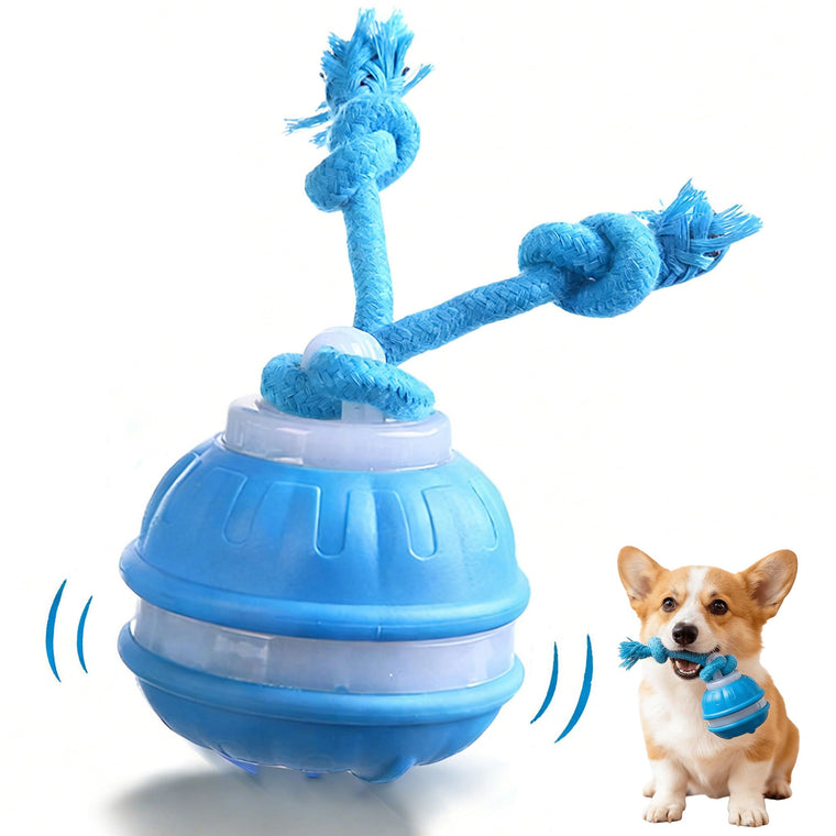 Interactive Dog Toys Pet Bouncing Ball Toys Sound-Producing Toys