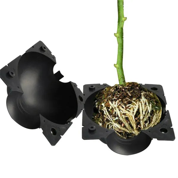 Plant Rooting Device
