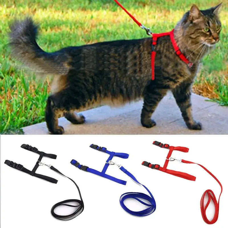 Cat Collar Harness Leash Adjustable Nylon Pet Traction Cat Kitten Dog