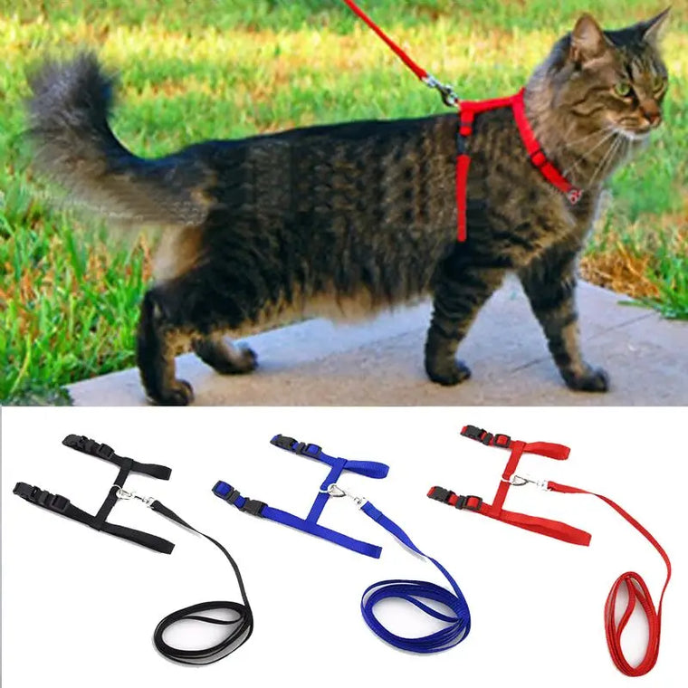 Cat Collar Harness Leash Adjustable Nylon Pet Traction Cat Kitten Dog