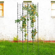 Garden Trellis for Climbing Plants Sturdy Plant Trellis Lattice Stake