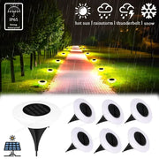 Waterproof Solar Garden Lights Outdoor Use Landscape Lighting for