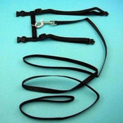Cat Collar Harness Leash Adjustable Nylon Pet Traction Cat Kitten Dog
