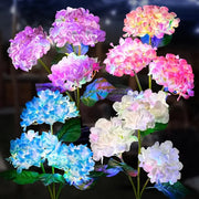 Solar Lights Outdoor Garden Light Waterproof Solar Garden Lights with