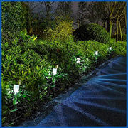 Outdoor Solar Garden Lights Waterproof Lantern Solar Powered Lamp