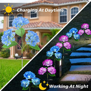 Solar Lights Outdoor Garden Light Waterproof Solar Garden Lights with