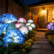 Solar Lights Outdoor Garden Light Waterproof Solar Garden Lights with