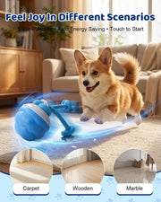 Dog Toys Rechargeable Smart Ball Relief And Entertainment For Cats And