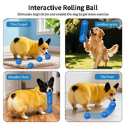Dog Toys Rechargeable Smart Balls Bouncing Ball Dog Toys Automatic Elastic