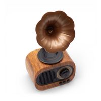 Bluetooth & FM Radio - 5 watt x 1
