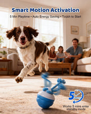 Dog Toys Rechargeable Smart Ball Relief And Entertainment For Cats And
